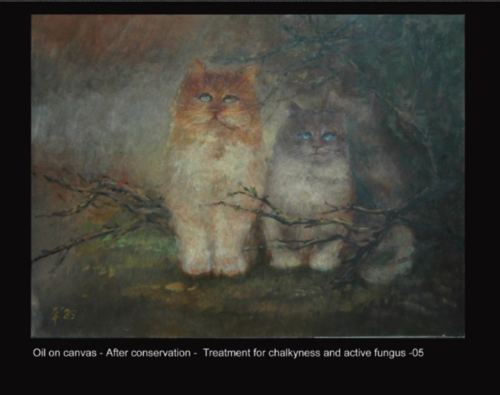 Oil on canvas - After conservation -  Treatment for chalkyness and active fungus